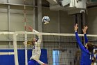 Women’s VB intersquad  Women’s Volleyball inter-squad match. : Women’s Volleyball, VB, inter squad, intersquad